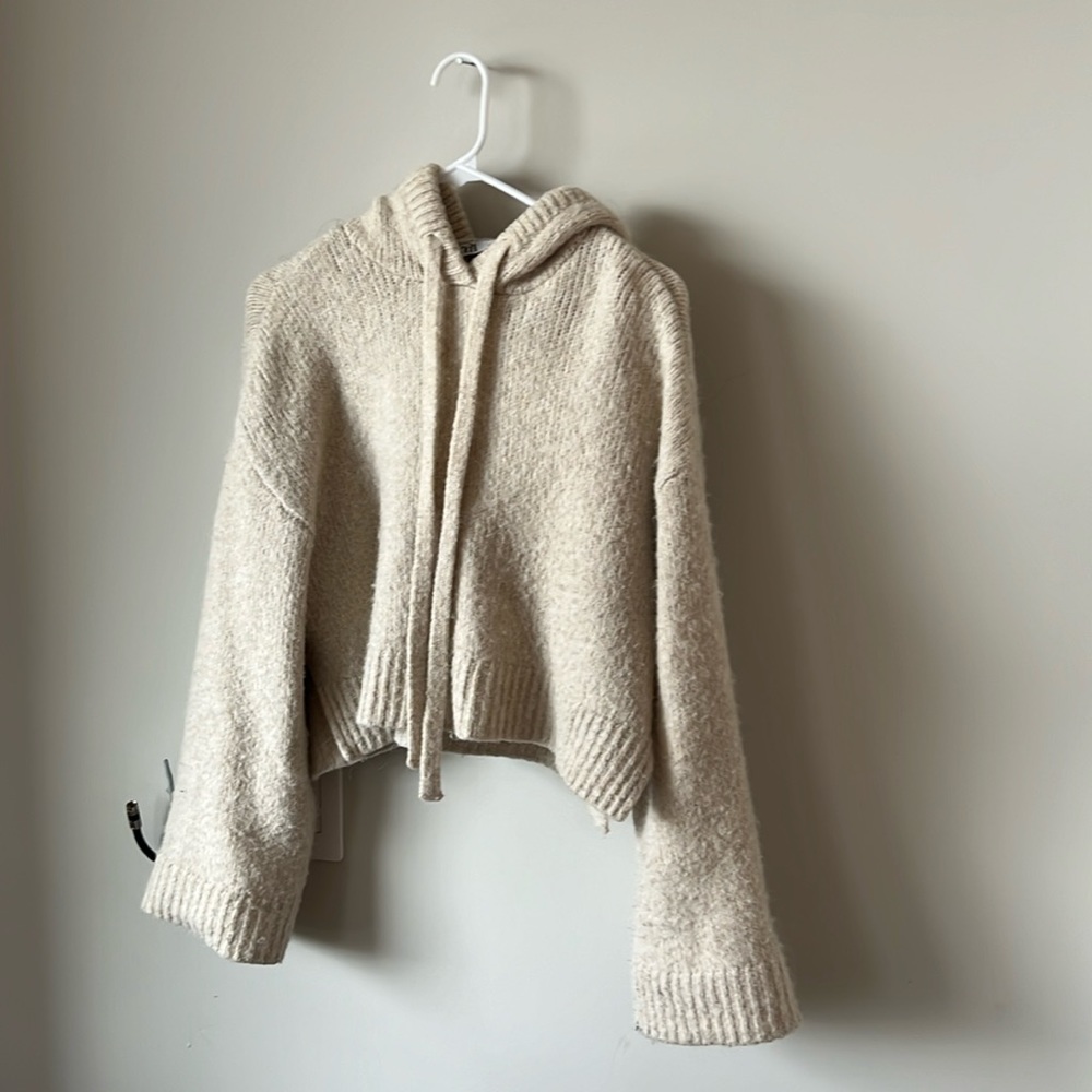 Zara Wool-like Hoodie
